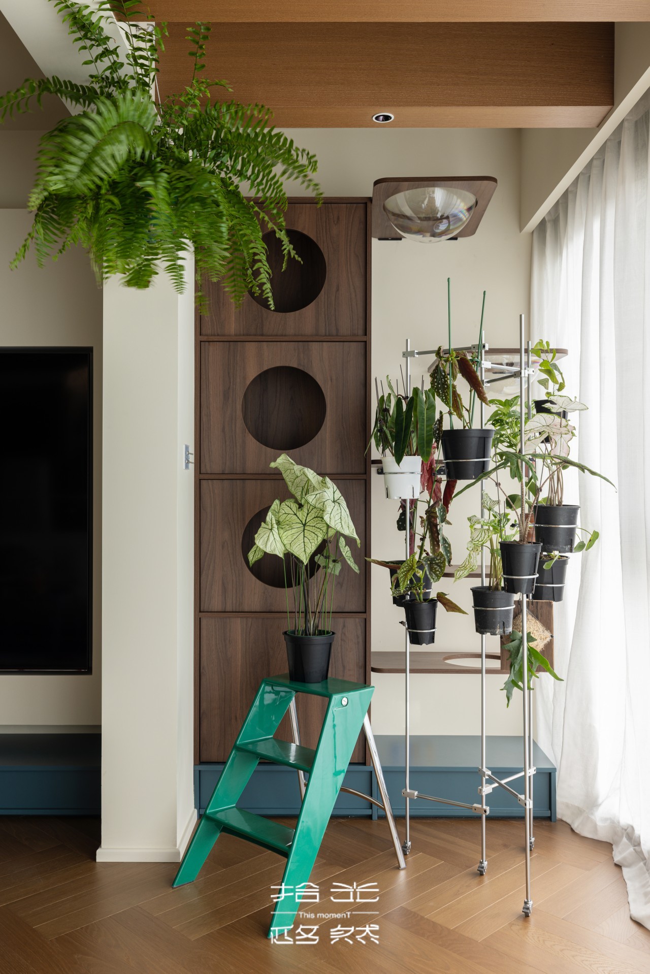 82545e7d2e5bc1f45a14cb04b089710a.jpg 82545e7d2e5bc1f45a14cb04b089710a.jpg