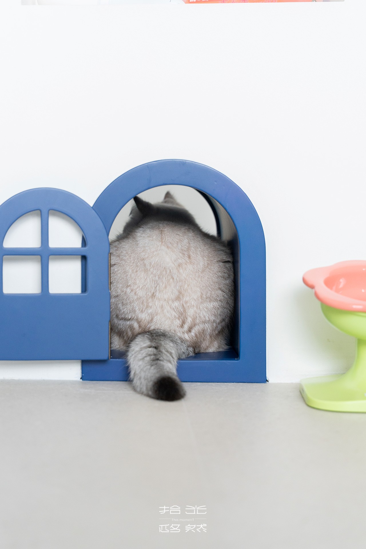 5f1c4cc32076a2abebd03a57fd82922e.jpg 5f1c4cc32076a2abebd03a57fd82922e.jpg