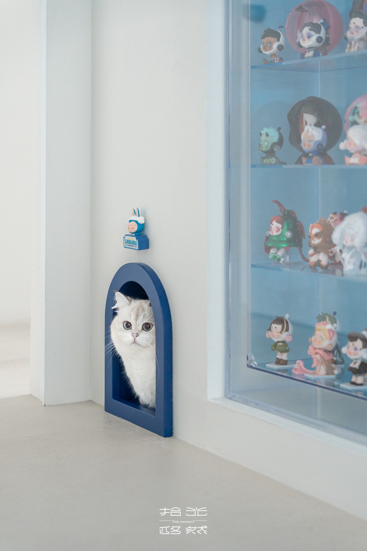 7a309449164c782d34ebd655aa964021.jpg 7a309449164c782d34ebd655aa964021.jpg