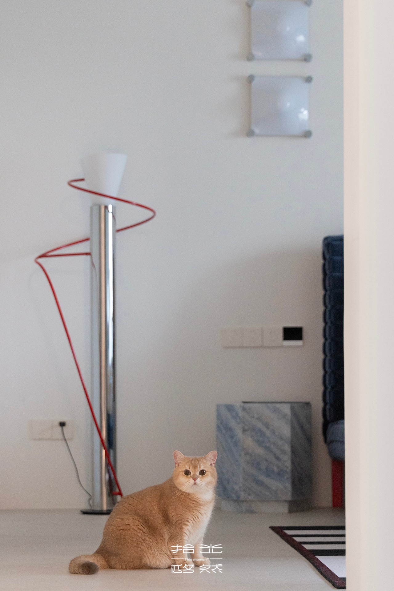 7c02e9b388f1ffb693e65e91dfc20974.jpg 7c02e9b388f1ffb693e65e91dfc20974.jpg