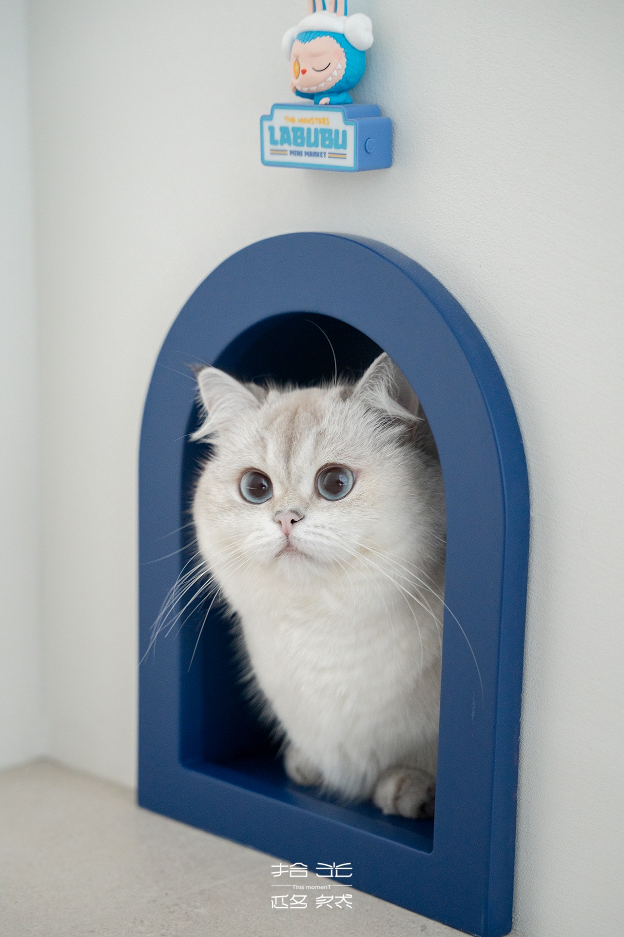 a864e49112bceaec5e2cedc672b0803d.jpg a864e49112bceaec5e2cedc672b0803d.jpg