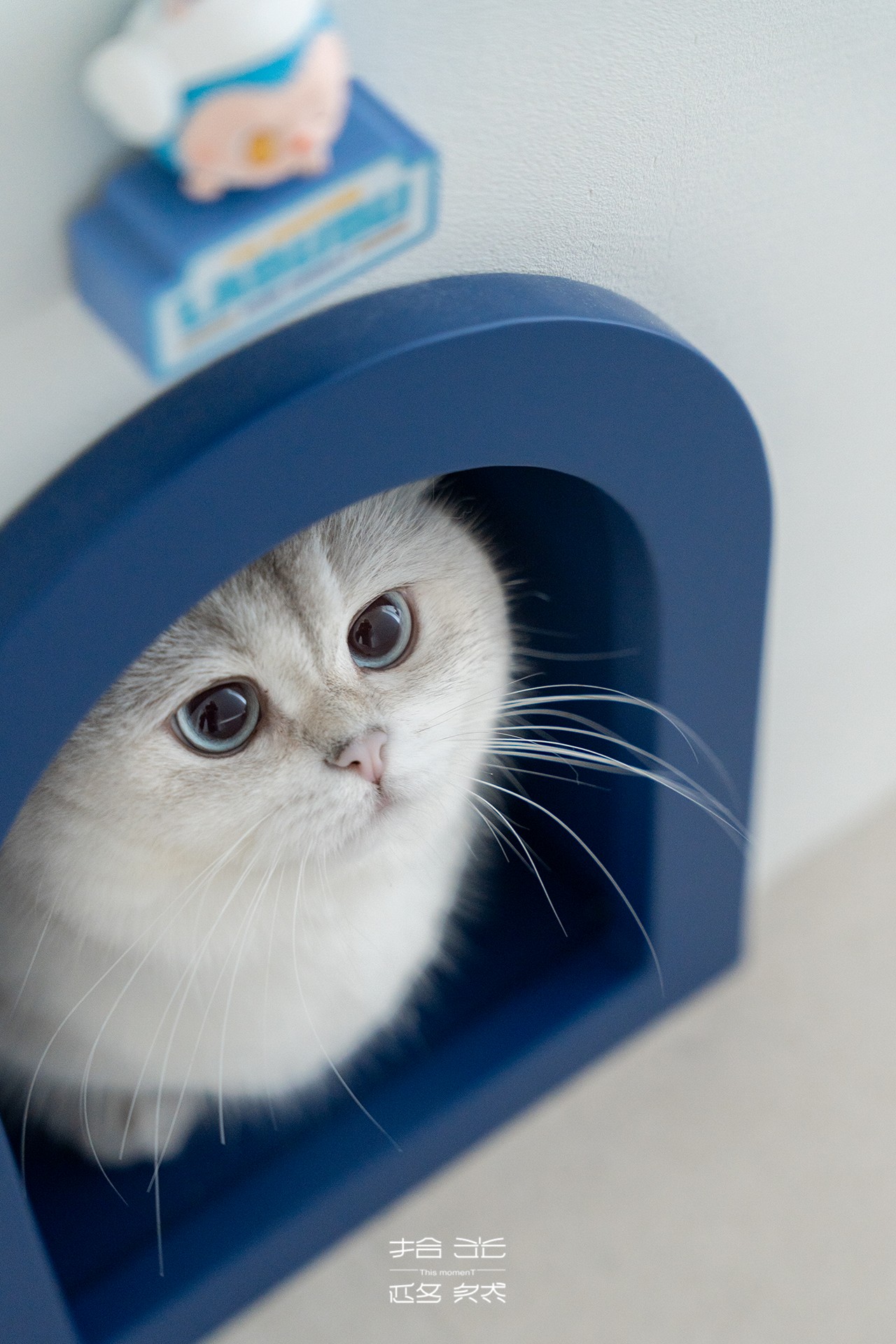 c7f55857be909a92de8faebdb50416ec.jpg c7f55857be909a92de8faebdb50416ec.jpg