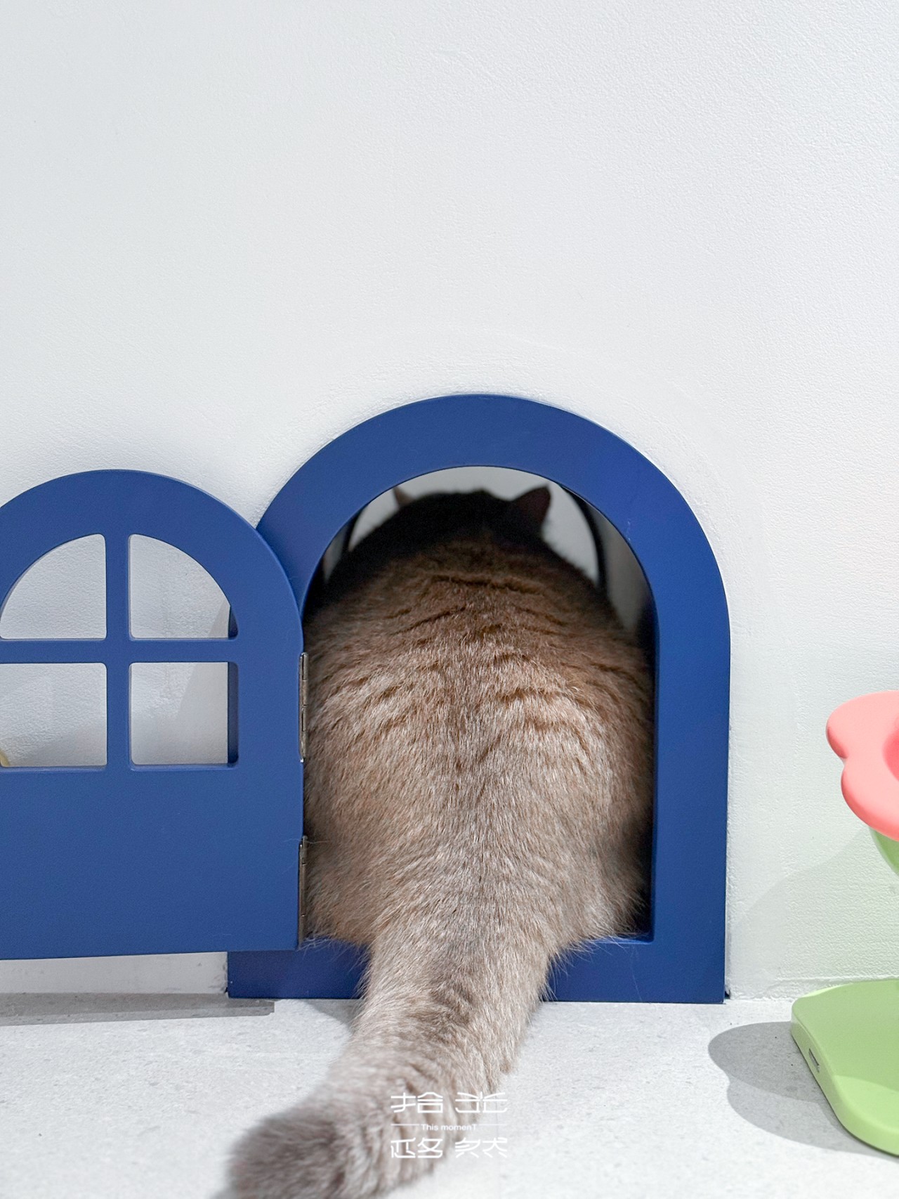 df5fa50f3001eb1e3b86cec4466a0165.jpg df5fa50f3001eb1e3b86cec4466a0165.jpg